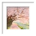 pink trees cherry blossom photograph 8x8 fine art print