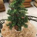 Tree Skirt in Burlap