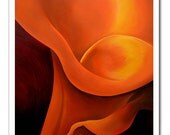 Orange Calla Lily print
