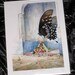 Pear Meditations (print)