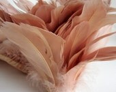 25 Nude XL Studio Dyed Goose Feathers. BEST SELLER. No. 009