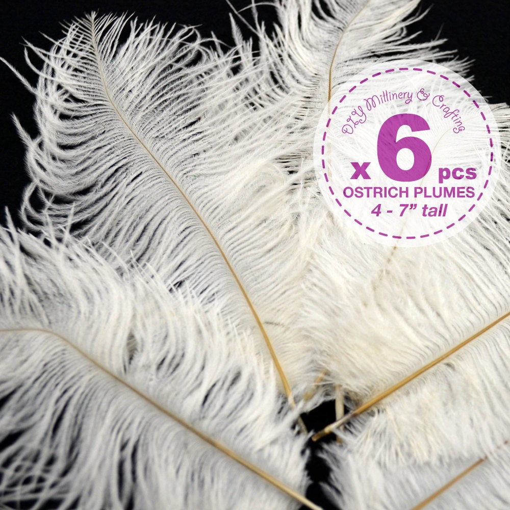 6 pcs - Ostrich Plumes, 4 to 7 inches tall, White, Costume, Bridal, more sizes and color available