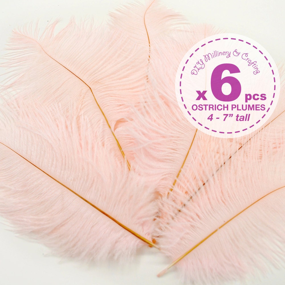 6 pcs - Ostrich Plumes, 4 to 7 inches tall, Light Pink, Costume, Bridal, more sizes and color available