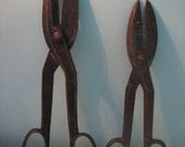 instant collection vintage scissors