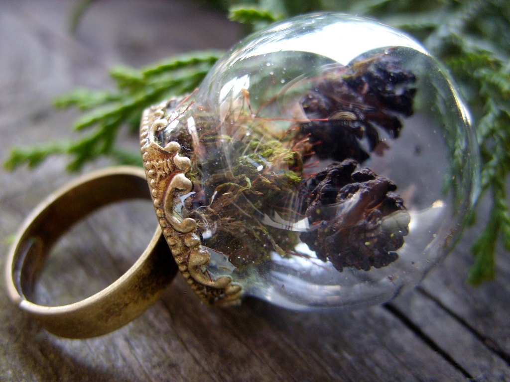 mini terrarium ring miniature terrarium jewelry moss pinecone woodland green brown glass dome forest