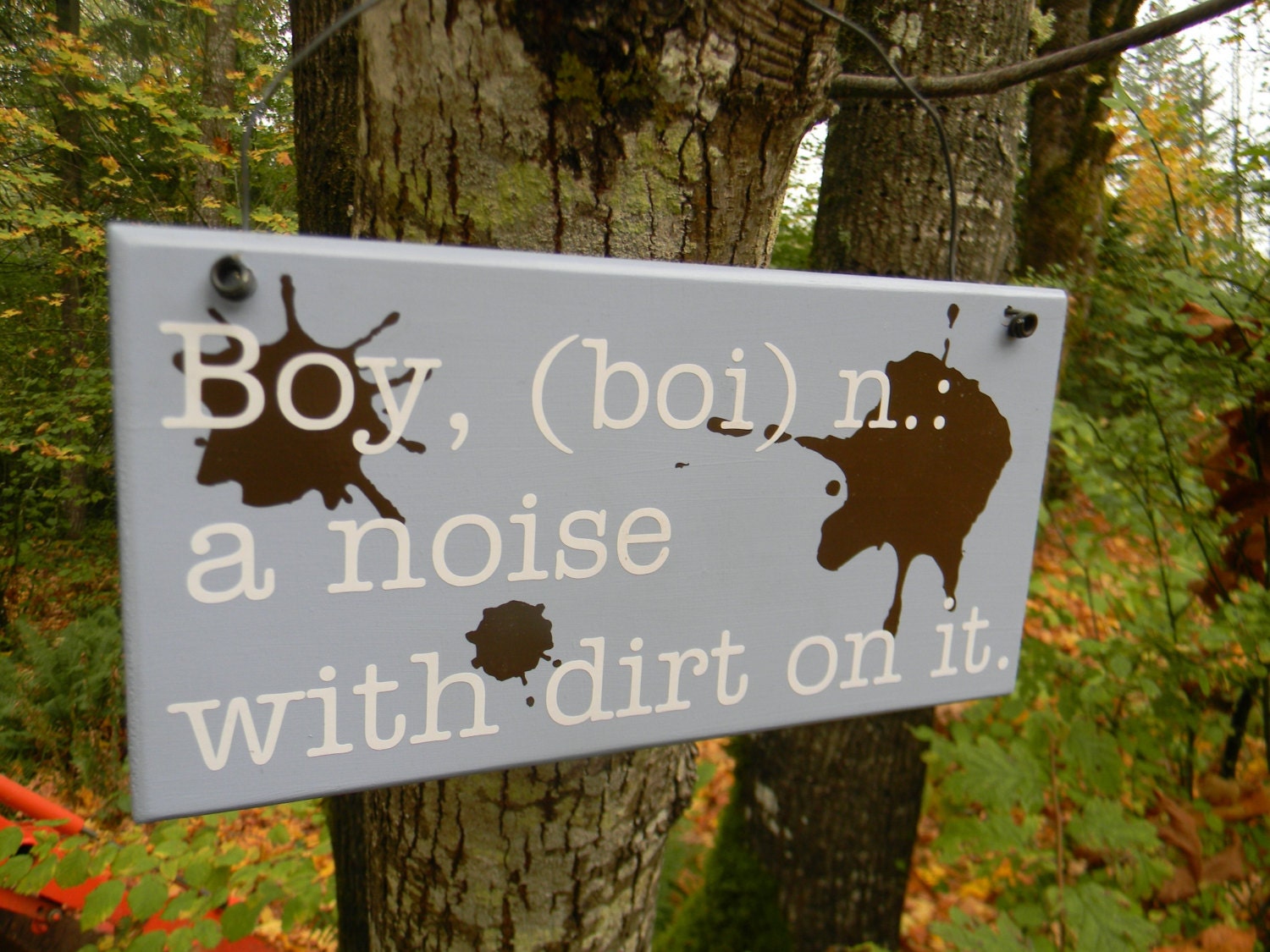 Boy Definition Sign...a noise with dirt on it.