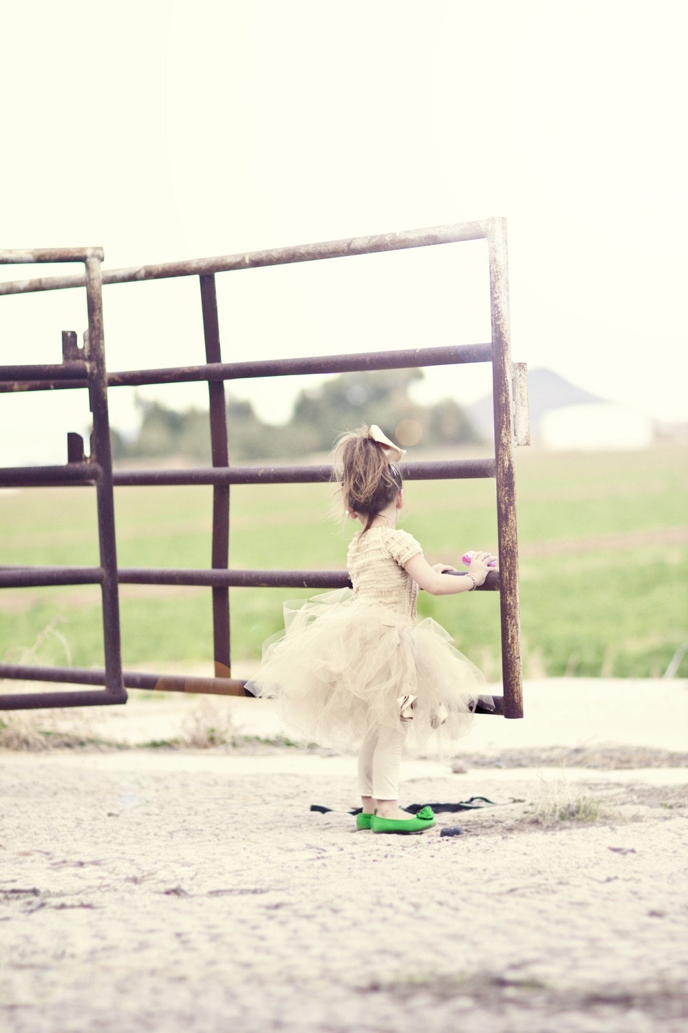 Posh Shabby Chic Cream Rose Tutu