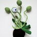 Cyclops Potted Plant