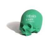 chalkboard skull