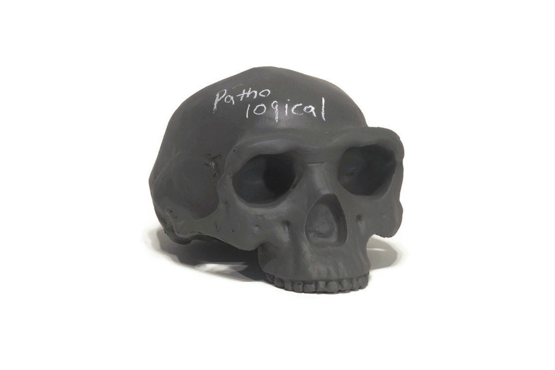 Homo erectus chalkboard skull
