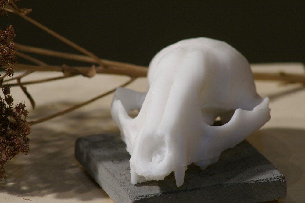 goat milk skull soap