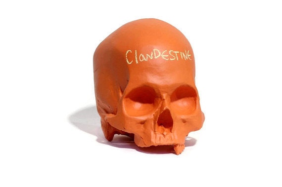 chalkboard skull