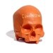 chalkboard skull