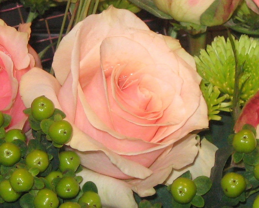 Roses and Berries Note Card