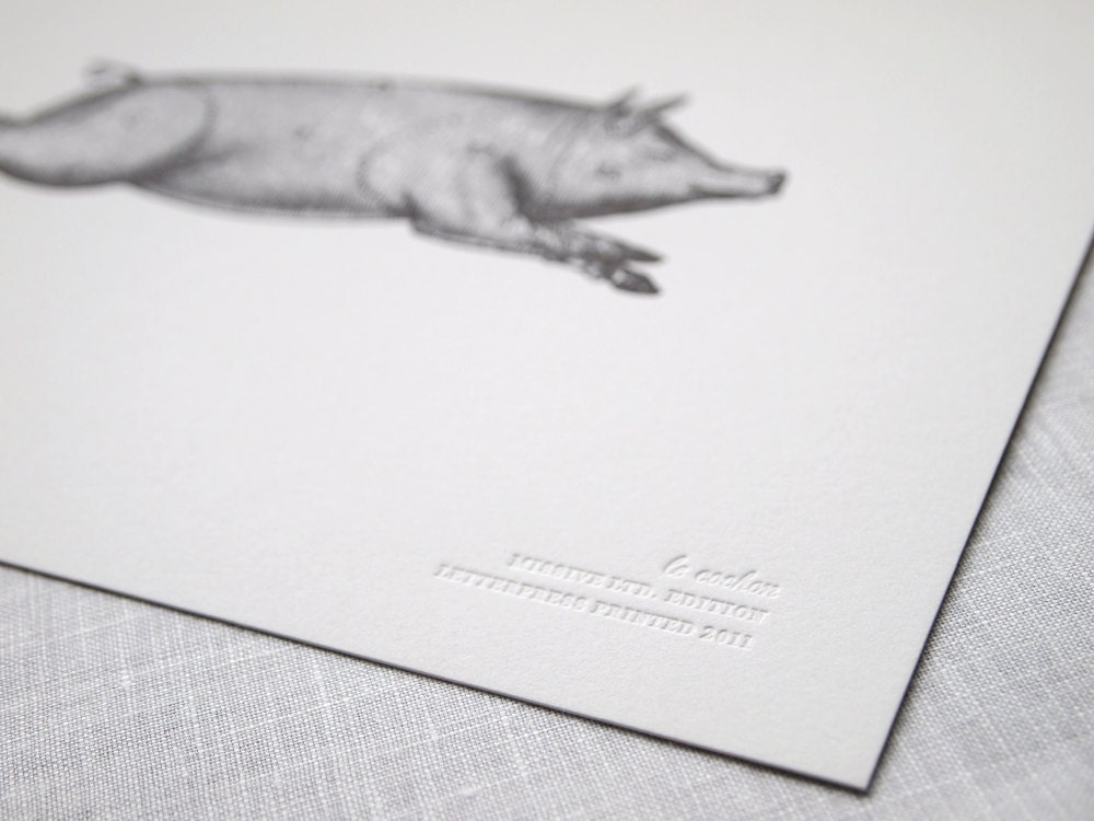 Letterpress Art Print Le Cochon 8x10 - Pork Meat Cuts Chart - Vintage Pig Diagram