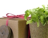 Eco Friendly Herb Box Junior Wedding Favor - Basil - Burgundy