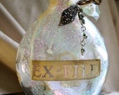 Ex-File Memory Bottle Number 2 by MaggieGlynn