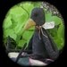 Primitive Crow