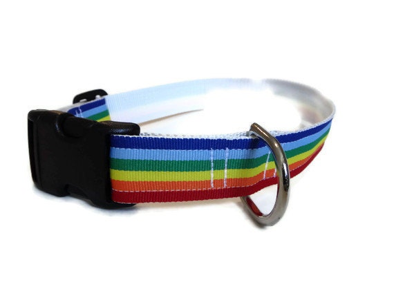 Rainbow Dog Collar