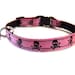Pirate Kitty Pink Breakaway Cat Collar