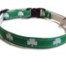Breakaway Cat Collar - Green Shamrocks