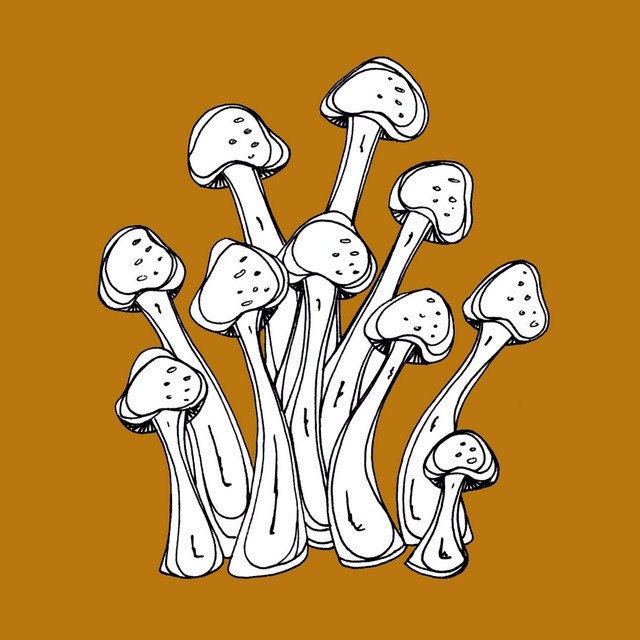 BOGO SALE - Pumpkin Orange Mushroom Digital Art Print 5x5- Quick Draw - Togetherness
