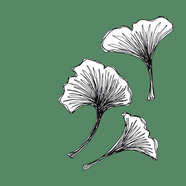 BOGO SALE - Quick Draw - Hunter Green Ginkgo Leaves - Falling 5x5 Print