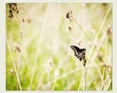 Butterfly Photography - sage Spring decor - Papillon -   nature print, kids room, nature, playroom decor, feminine