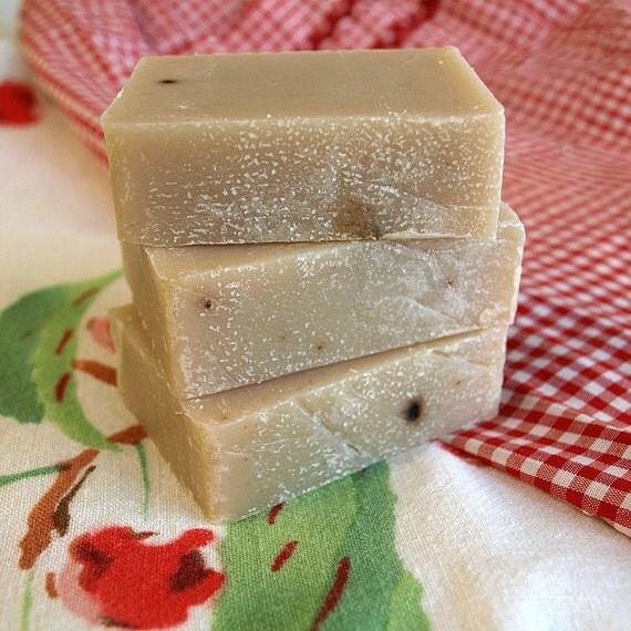 Fruity Northern Cherry Bar of Soap - Green Daffodil - Twig Natural Soap