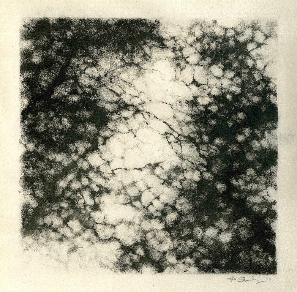 OOAK Framed Monotype Print - Light Through the Branches