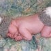 On Sale Now SALE LSBV Little Bunny Photography Set