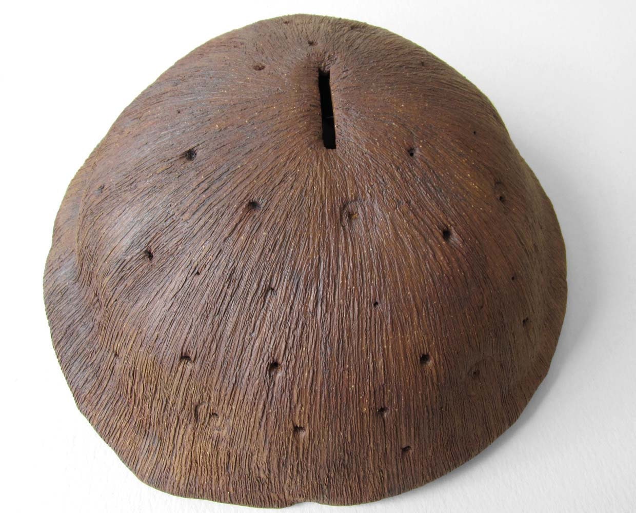 the mushroomed turtle