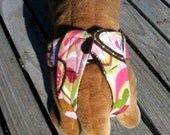 Dog Britches, Open-tailed, Size Large, Multicolored Heart Flannel with Brown Flannel Lining