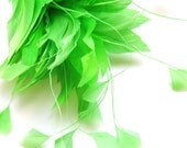 Neon Green Goose and Coque Feather Hat Mount for Millinery - squirlgirl