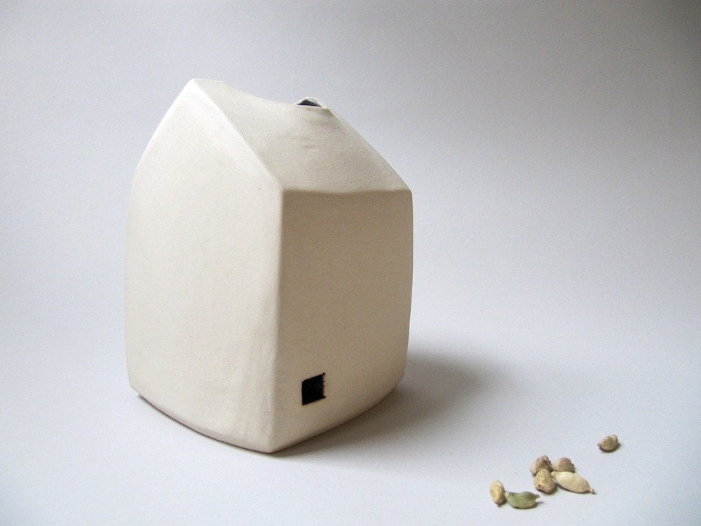 Modern House With Pocket