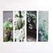 Bookmarks Set - Photo Series - Green. Nature photography bookmark. Naturalist. Botanical. Book lovers gift. Stocking stuffers.