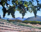 Vineyard Oil Painting -18x12in Giclee Print