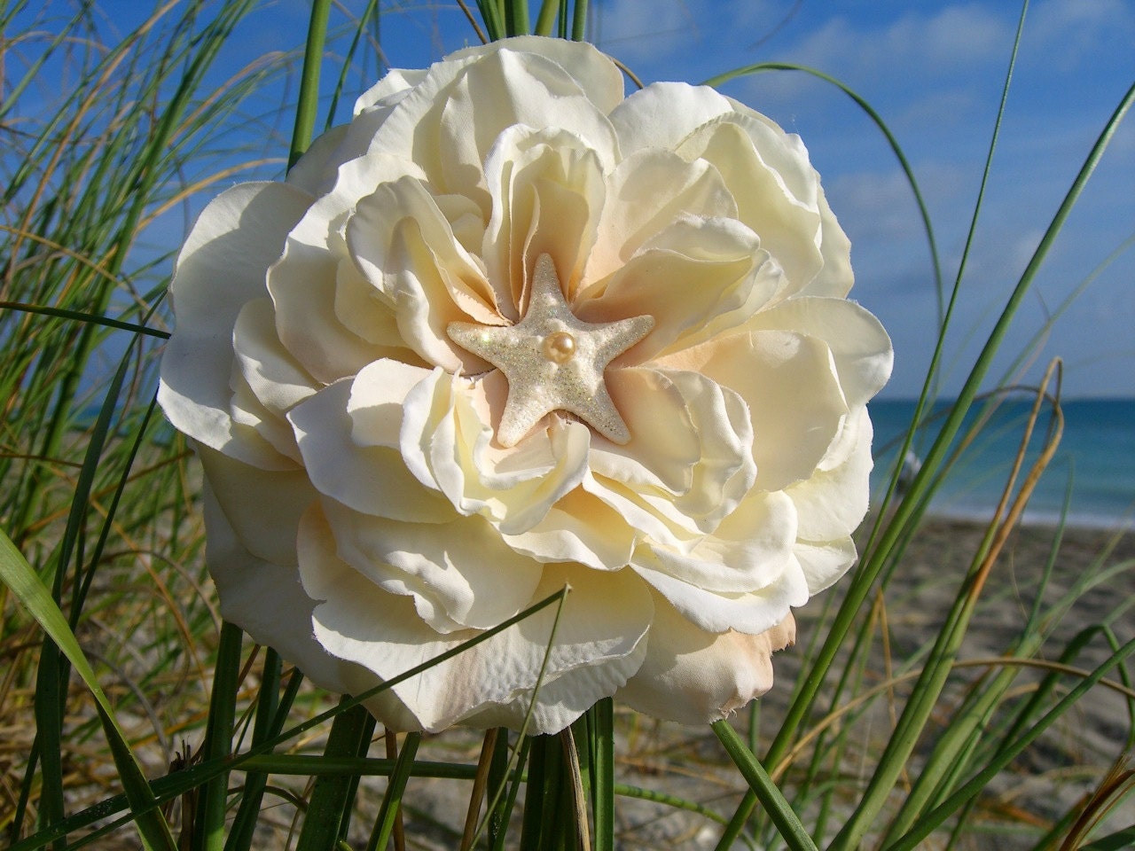 Starfish Beach Wedding Floral Hair Clip or Broach-CREAMY IVORY-Beach Weddings, Bridal Hair Piece, Proms, Elegance, Ivory Weddings