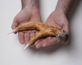 Featured on Etsy Finds and Keep it Weird ....SALE Deer antler shaker/rattle