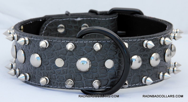 Grey Gator Dog Collar w/ Double row Short Spikes/Single row dome