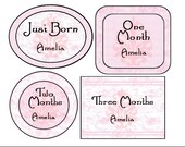 Girl's Monthly Onesie Stickers Personalized (Pink Toile)-Includes Newborn, Large 12 Month, and Bonus Stickers- Girl Baby Month Stickers