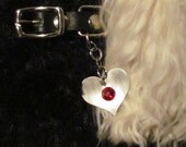 Dog or Cat Birthstone Tag