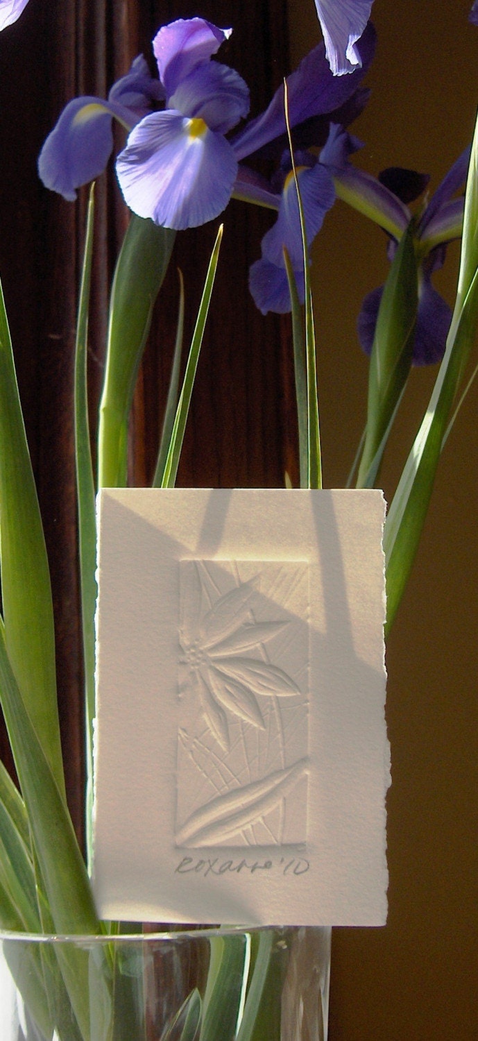 Handmade Card - 3 Embossed Daisy Mini Cards with White Envelopes