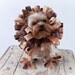 Lion Dog Costume - Pet Halloween Costume - Rush Order - Size Medium