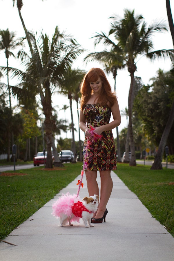 Coral and Pink Rosette Feather Harness Dog Dress