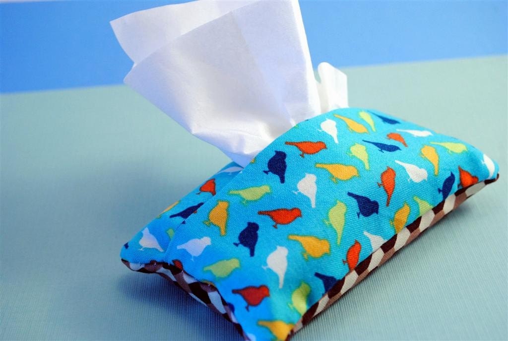Spring Robin TISSUE COZY - pouch including tissues