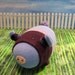 Sock Piggy squishy and fun
