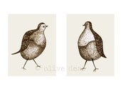 pigeon pair double portrait - fine art print