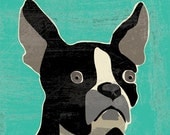 boston terrier fine art reproduction print