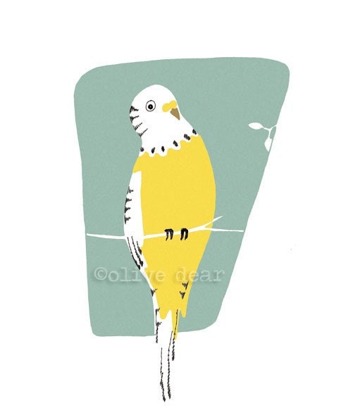 yellow budgie - fine art print